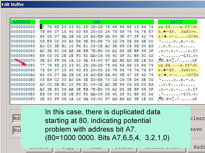 Buffer with duplicated data